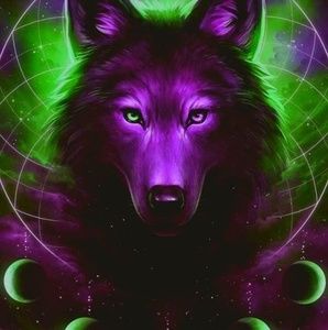 Meet your Posher, Donovan